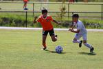 IMG_0027 (cam 0)