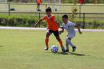 IMG_0029 (cam 0)