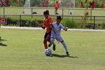 IMG_0031 (cam 0)