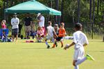 IMG_0051 (cam 0)