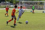 IMG_0139 (cam 0)