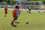 IMG_0140 (cam 0)