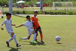 IMG_0143 (cam 0)
