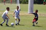 IMG_0008 (cam 0)