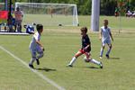 IMG_0015 (cam 0)