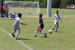 IMG_0016 (cam 0)