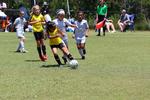 IMG_0010 (cam 0)