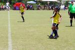 IMG_0031 (cam 0)