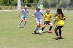 IMG_0039 (cam 0)