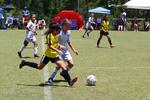 IMG_0132 (cam 0)