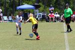 IMG_0148 (cam 0)