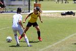 IMG_0198 (cam 0)