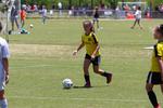 IMG_0205 (cam 0)