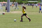 IMG_0211 (cam 0)