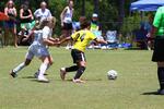 IMG_0218 (cam 0)