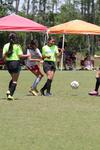 IMG_0084 (cam 0)