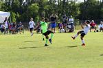IMG_0012 (cam 0)