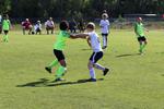 IMG_0017 (cam 0)