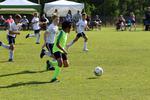 IMG_0028 (cam 0)