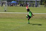 IMG_0036 (cam 0)