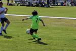 IMG_0040 (cam 0)
