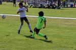 IMG_0041 (cam 0)