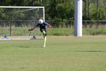 IMG_0061 (cam 0)