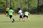 IMG_0075 (cam 0)