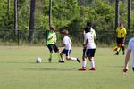 IMG_0077 (cam 0)