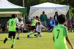 IMG_0083 (cam 0)