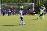 IMG_0091 (cam 0)