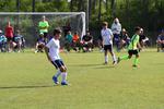 IMG_0093 (cam 0)