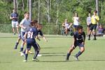IMG_0004 (cam 0)