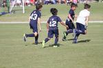 IMG_0019 (cam 0)