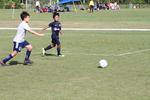 IMG_0044 (cam 0)