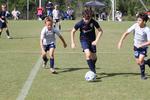 IMG_0061 (cam 0)