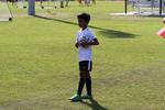 IMG_0001 (cam 0)