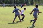 IMG_0005 (cam 0)