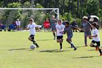 IMG_0038 (cam 0)
