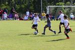 IMG_0041 (cam 0)