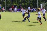 IMG_0042 (cam 0)