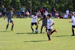 IMG_0045 (cam 0)