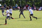 IMG_0047 (cam 0)