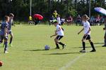 IMG_0050 (cam 0)