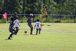 IMG_0071 (cam 0)