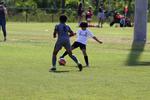 IMG_0079 (cam 0)