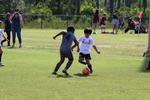 IMG_0081 (cam 0)