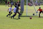 IMG_0082 (cam 0)