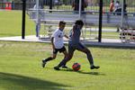 IMG_0085 (cam 0)