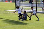 IMG_0091 (cam 0)